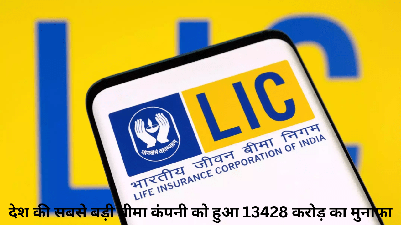 The country's largest insurance company made a profit of 13428 crores