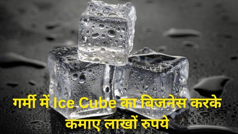 Business Idea: गर्मी में Ice Cube का बिजनेस करके कमाए लाखों रुपये, जाने कैसे करें शुरुआत