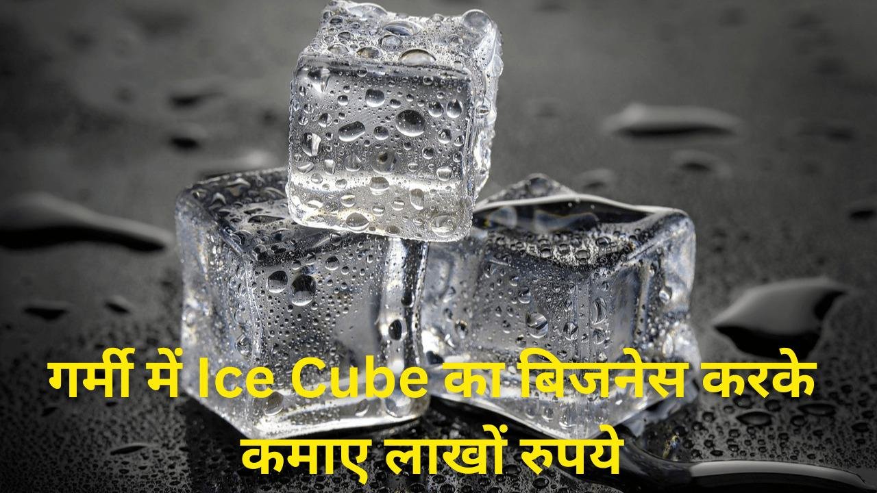 Ice cube business idea