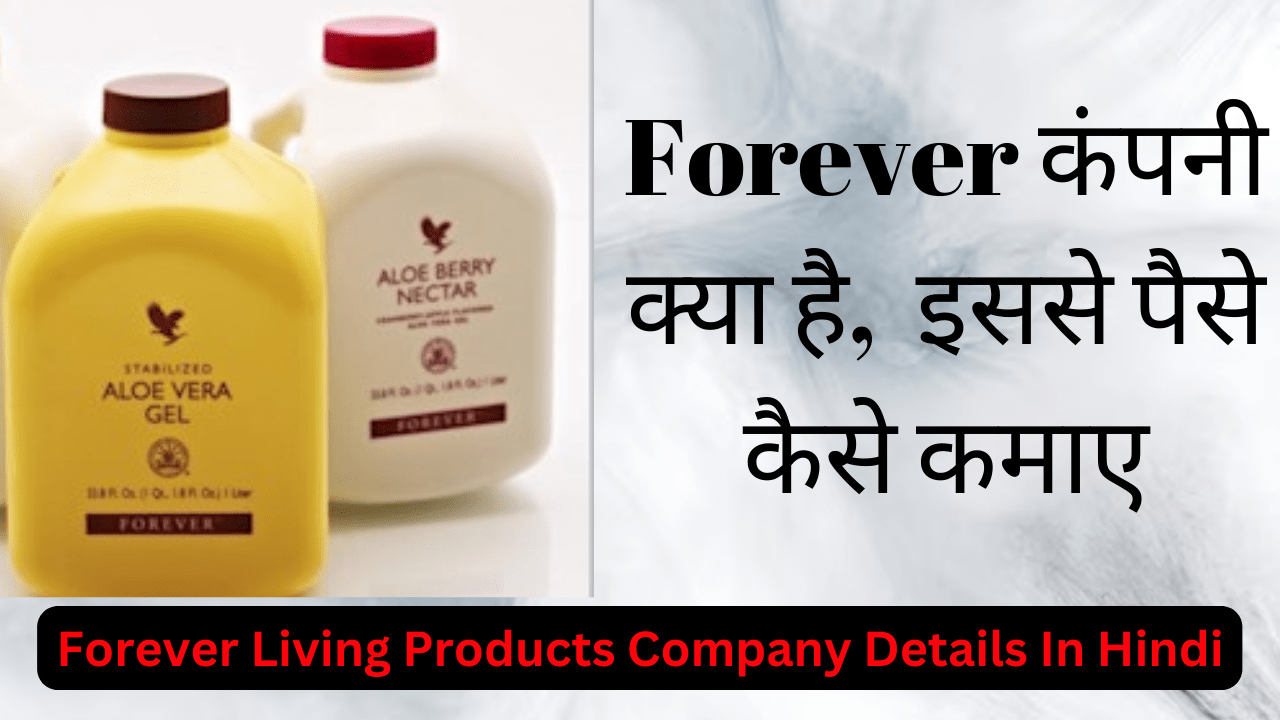 Forever Company kya hai In Hindi